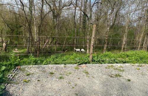 Appartement T2 - Foto 10