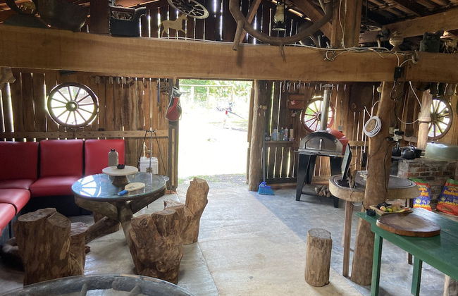 Haras Trevo de Ferro - Photo 13