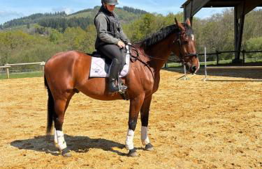 Le Chalet de Lintignat - Foto 25