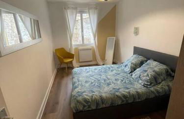 Le Sunny-hyper centre -proche gare - Paisible -WIFI HD -NETFLIX-Idéal couple business et famille - Foto 14