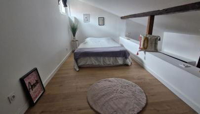 Le duplex Toulousain - Photo 4