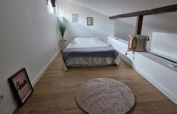 Le duplex Toulousain - Photo 4
