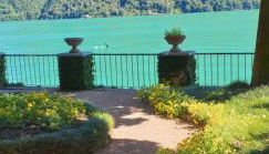 Lugano Lake, nido del cigno - Foto 3