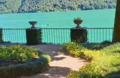 Lugano Lake, nido del cigno - Foto 3