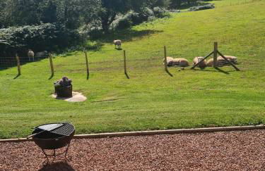 Shepherd's Hut in heart of the Brecon Beacons - Photo 25