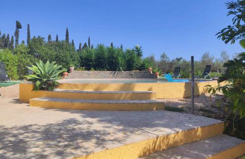 Lo Racó de Peret - Foto 13