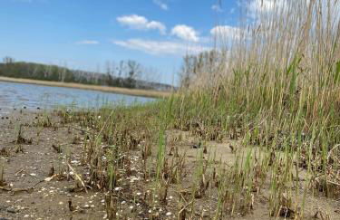 Urlaub "Unterm Storchennest" im Ostseeland Rerik - Foto 20