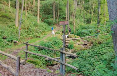 Casa del Conte - Foto 7