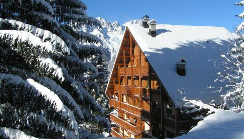 Chalet des Neiges Oz en Oisans - Foto 3