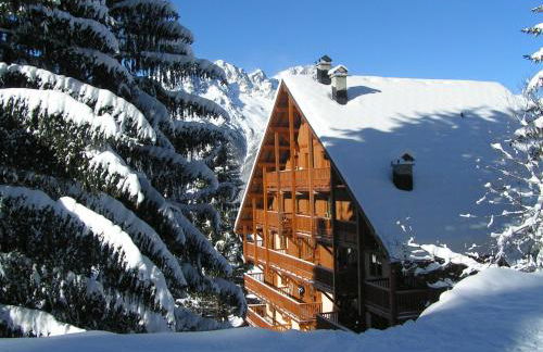Chalet des Neiges Oz en Oisans - Photo 32