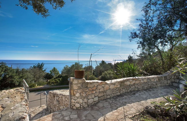 Pajara Acquaviva - Foto 24