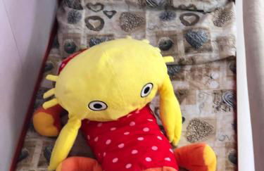 La Casa Colorata - Foto 36