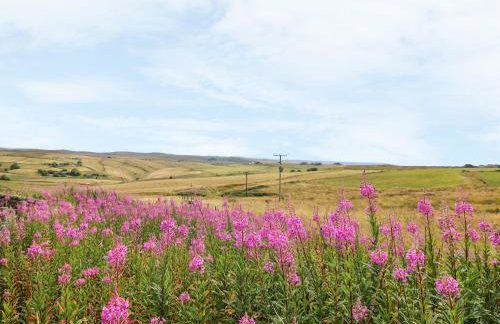 New Cottage Farm - Foto 15