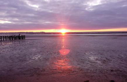 Das Rosenhaus - Photo 20