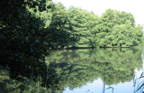 One-bedroom apartment - Foto 23