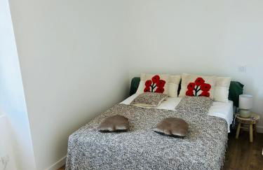 Magnifique T4 en centre ville - Foto 6