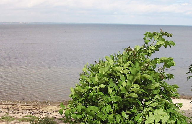 6 Person Holiday Home in Praesto - Foto 19