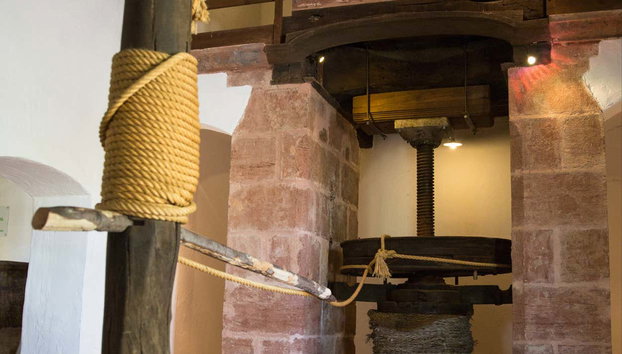 Olive Oil Museum Guided Tour & Olive Oil Tasting - Foto 3