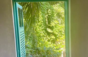 Olinda Magic Studio - Foto 13