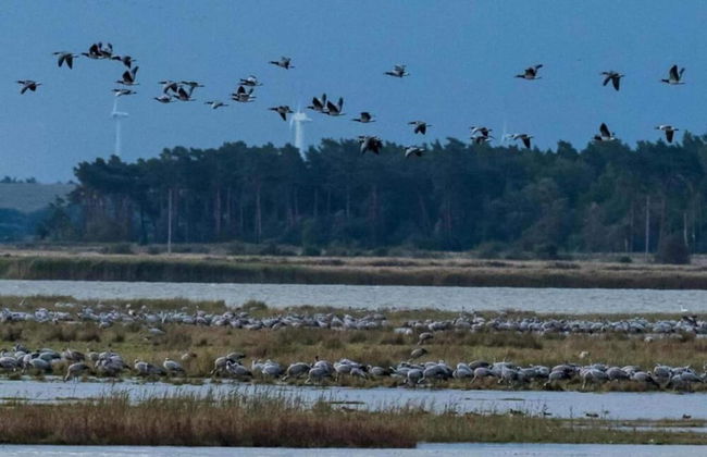 Peaceful Garden Stay - Foto 37