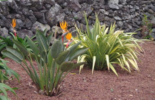 Casa da Vigia - Photo 12