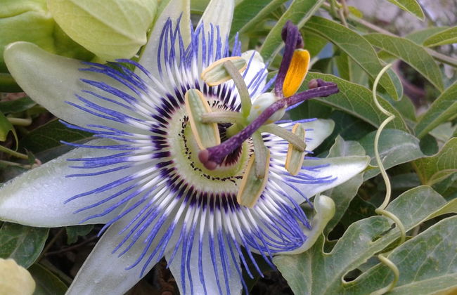 Locanda dei Buoni e Cattivi - Foto 58