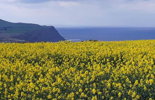 The Miners Cottage - Foto 18