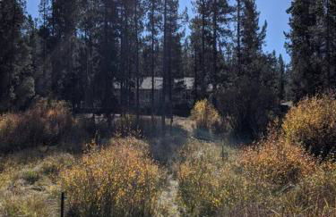 Wild Woods - Cascades Riverside Retreat - Foto 22