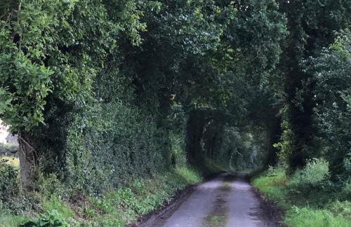 Gîte Rêve de Pomme - Foto 31