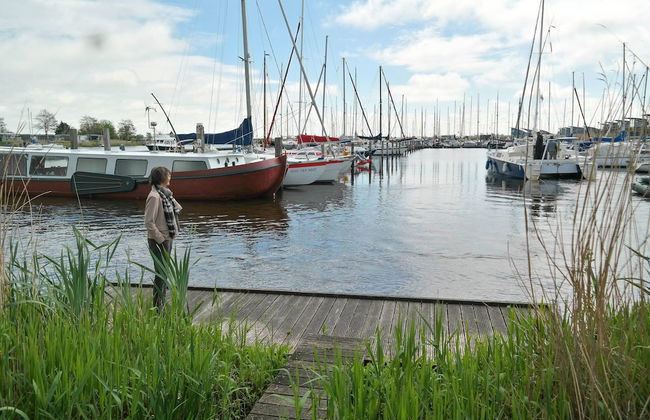 6 Pers - Chalet Emma Located at the Lauwersmeer With own Fishing Pier - Foto 30