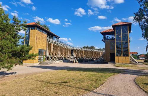 Przytulne mieszkanie w centrum Gołdap - Photo 11