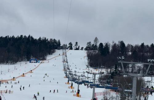 Chata z Kominkiem - Drozdówka Solina- 6-9-2-2-8-1-3-6-3 - Foto 75