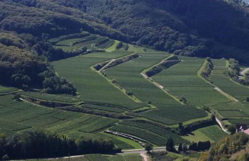 LandhausTrautwein - Foto 12