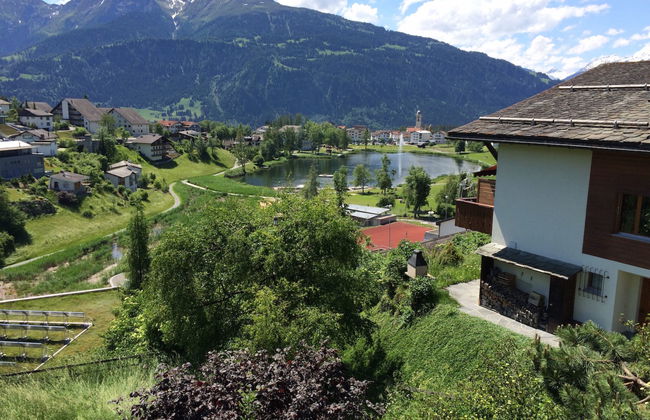 Schumellins (LAA400) - Foto 17