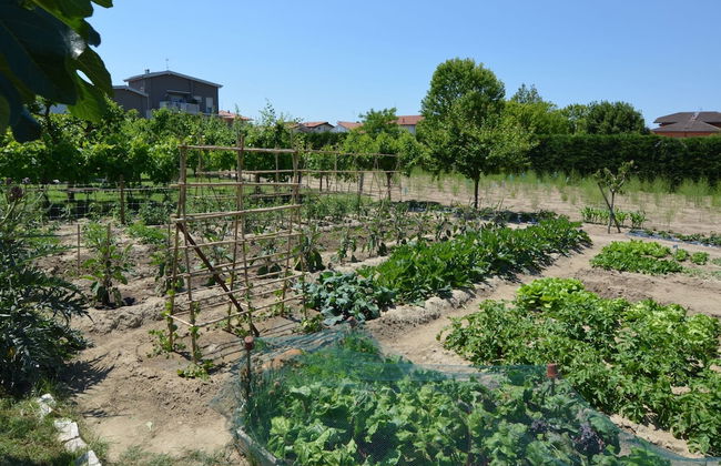 Peacefully Located Apartment in Gatteo near Sea - Foto 28