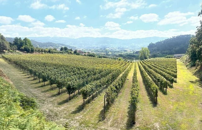 Quinta Picouto de Cima - Foto 1