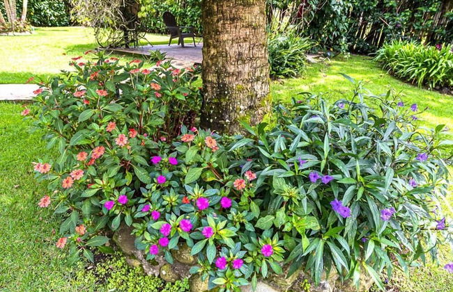 Downtown Suites - Foto 37