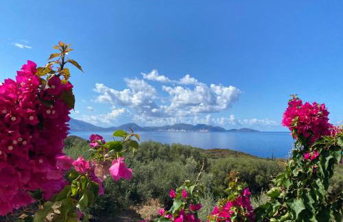 Federico Villa - Foto 20