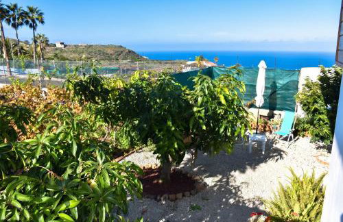 Charming house in Icod de los Vinos with garden 70 m² - Foto 30