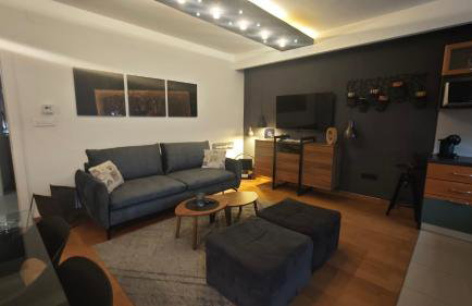 Zagreb Lodge Apartment - Foto 4
