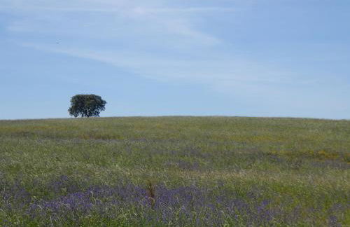 Herdade Joana Dias by PortusAlacer - Foto 15