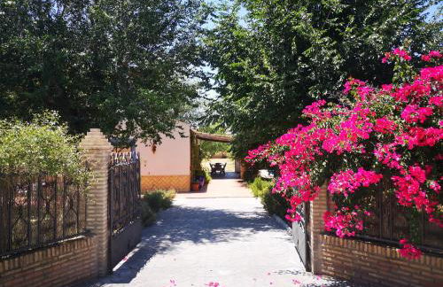 Casa los Jinetes - Foto 40