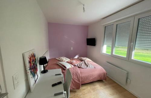 Olivier du ciel ODC - Photo 28