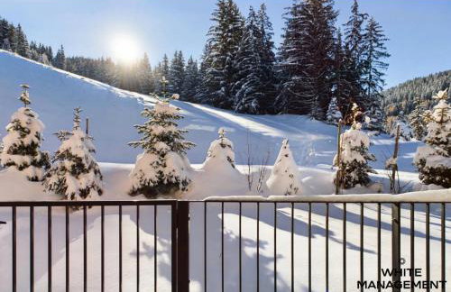 Résidence Ariondaz Hellebore - Beau T2 Cabine pour 5 personnes MAE-7724 - Foto 12