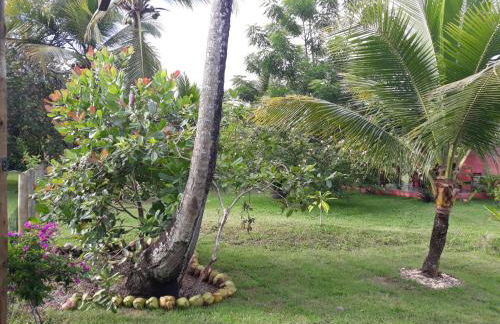 Chale da Lu - Photo 30