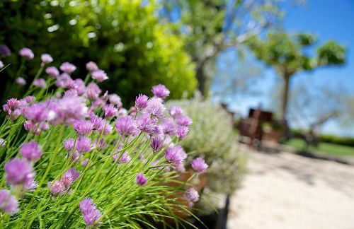 Agriturismo Le Colombe Assisi - Foto 24