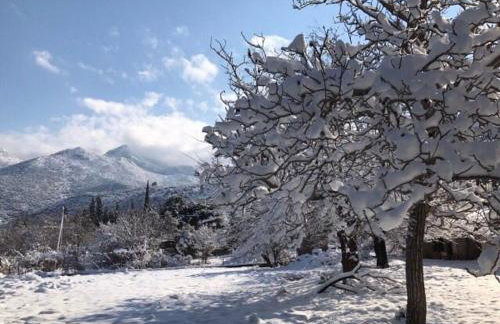 260m2 Unique Mountain House in Lilea Parnasos - Foto 153