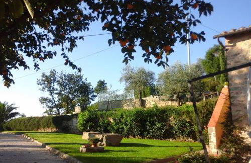 Agriturismo La Marginella - Foto 35