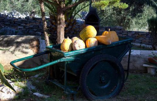 House Stone&Olive - Foto 48