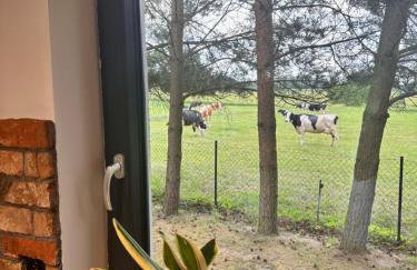 Siedlisko Kaczory - Foto 15